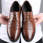 Brown / 38