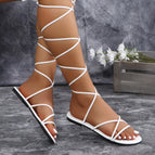 White / 36