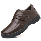 Brown / 38