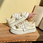 Beige / 35